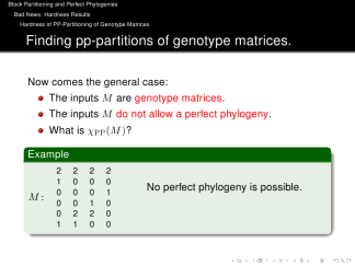 JuanLesPins-structure-professionalfonts 18