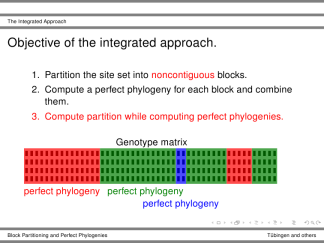 Szeged-structure-professionalfonts 12